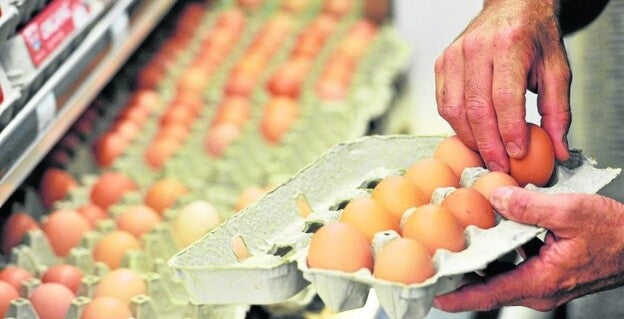 Sanidad registra 152 casos de salmonela en seis meses