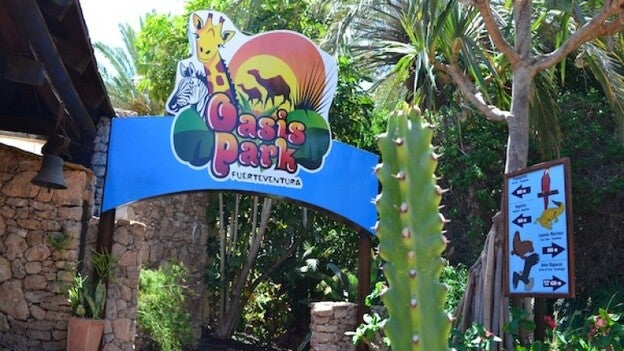 Curso de entrenamiento animal en el Oasis Park