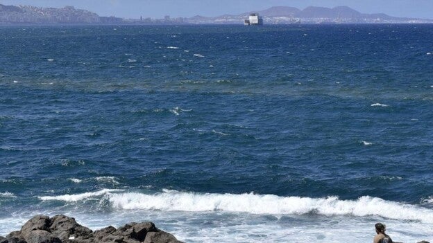 Microalgas: El Gobierno se atrinchera