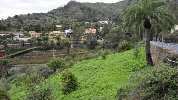 Santa Brígida, primero en ofrecer formación gratuita para proyectos sociales