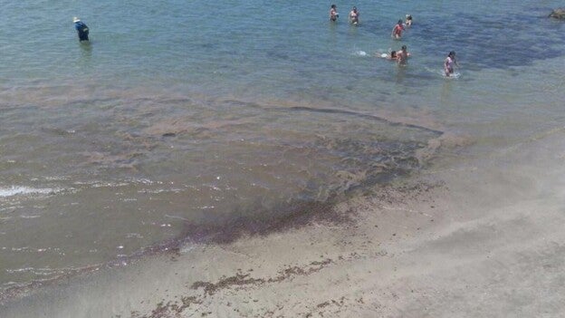 Microalgas en Las Canteras y Puerto Rico y cierre en Alcaravaneras