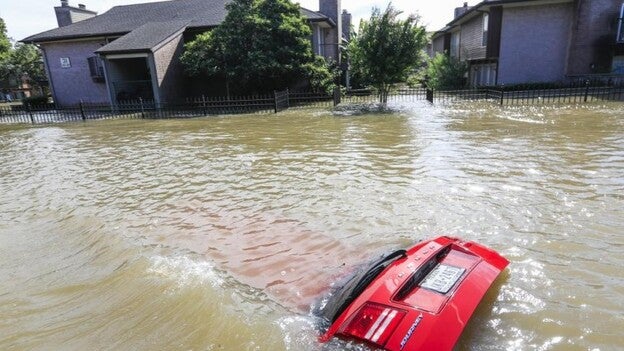 Carnival y Royal Caribbean reembolsarán el dinero a los cruceristas afectados por 'Harvey'