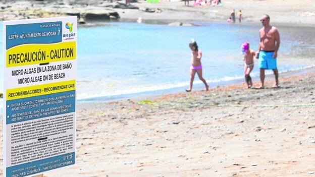 Microalgas, cuando se cree más el bulo que al Gobierno