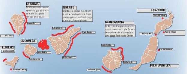 Canarias pide respuestas sobre las microalgas