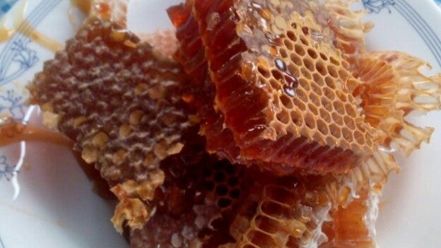 Concluyen las jornadas de apicultura celebradas en Vallehermoso