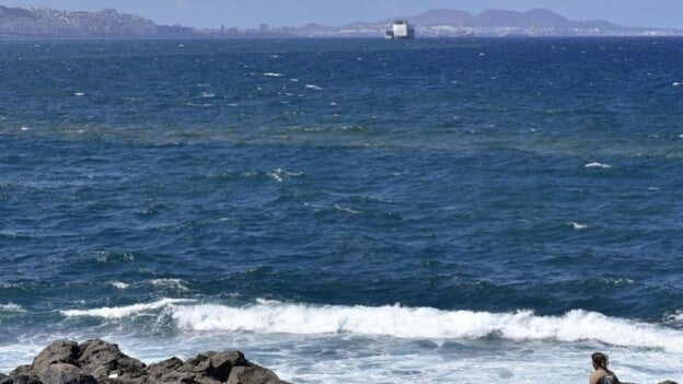 El "bloom" de cianobacterias se formó en el océano