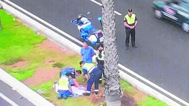 Hallan unos huesos en la mediana de la avenida marítima