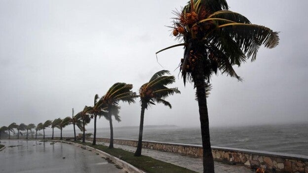 Irma causa muerte y destrucción en Florida