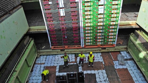 Todo el tomate canario, a Europa en contenedor