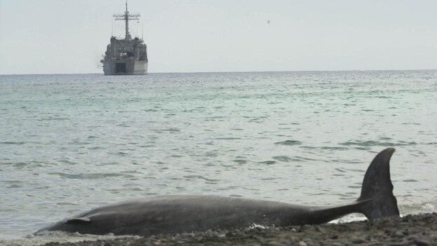 15 años después de la tragedia