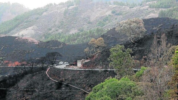 «Todavía queda el mal cuerpo»