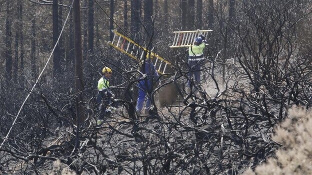 Una jornada cualquiera en la Cruz de Tejeda