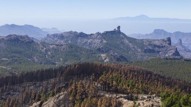 San Mateo y Tejeda culminan el inventario de daños