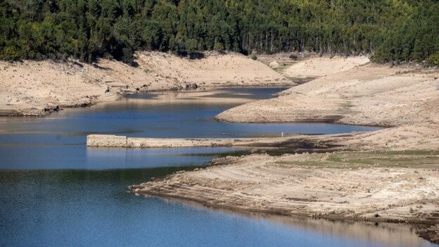 Con un ojo mirando al cielo y con el otro al pantano