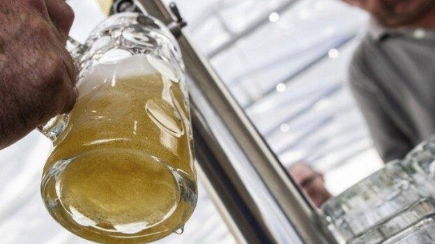 Estrella Galicia lanza una cerveza de pimientos de Padrón