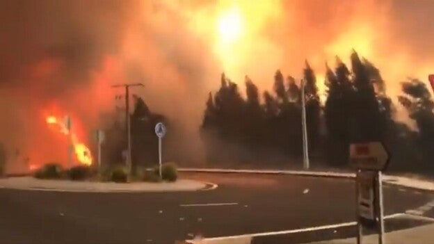 La mitad de los incendios en Galicia son intencionados