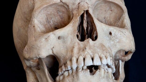 El Museo Canario se une al Día de los Difuntos