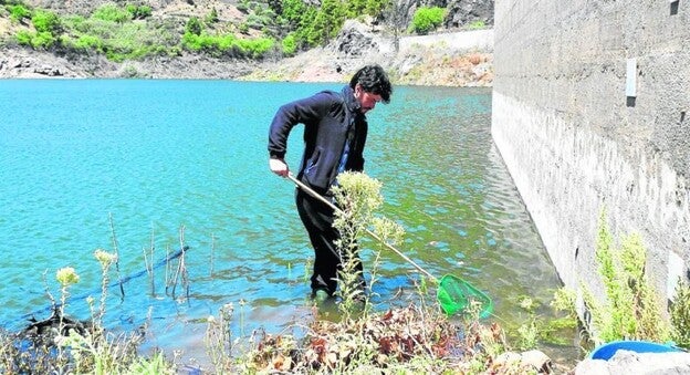Salto del acuario a la charca