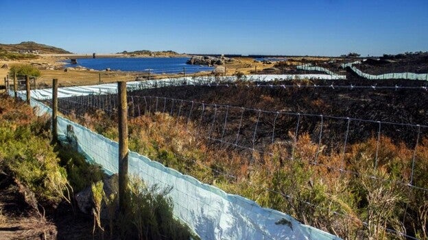 Portugal mantendrá el dispositivo contra incendios hasta el 15 de noviembre