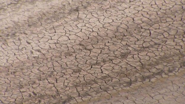 Gran Canaria reutiliza el 50% de su agua depurada