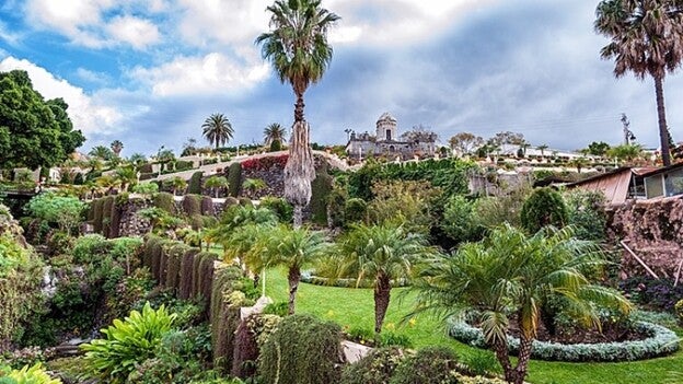 Muestra de la abundante y frágil riqueza de la flora canaria