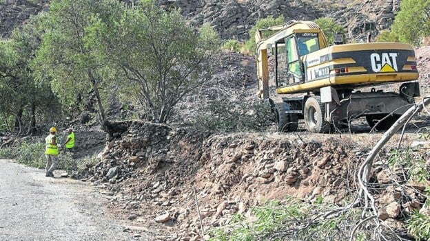 Temisas cambia el pico por los tractores
