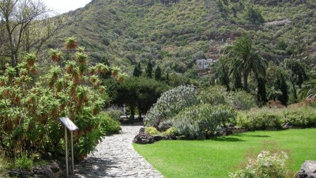 2.250 niños interactúa con el Jardín Canario para cuidar la flora