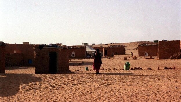 El Cabildo de Gran Canaria enviará gofio a Tinduf