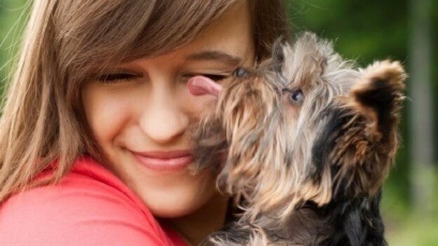 La mitad de los españoles adoptan las mascotas