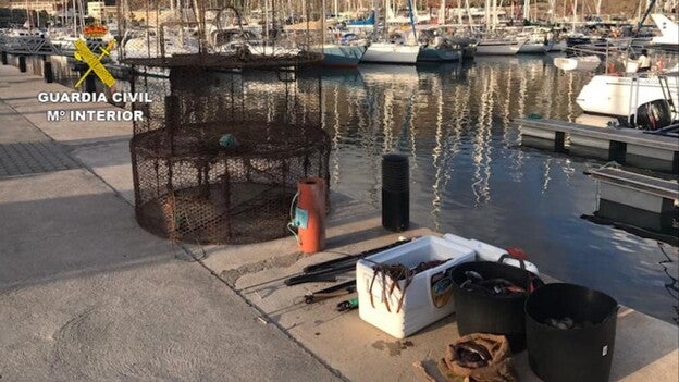 Investigados por matar tres langostas en peligro de extinción