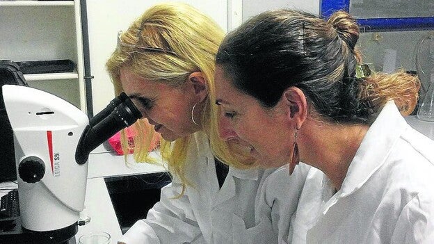 Demasiado microplástico en nuestras playas