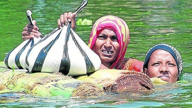 Millones de asiáticos migrarán hacia Europa