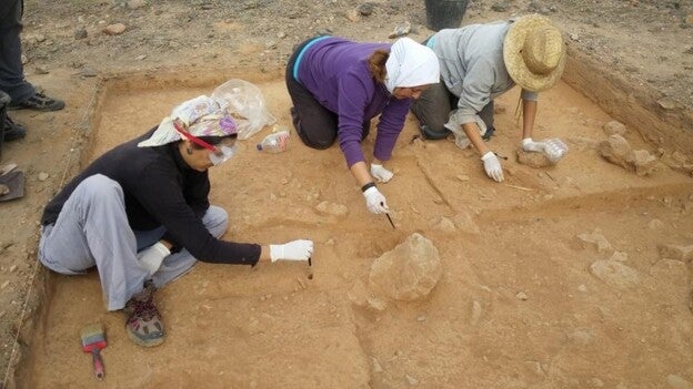 El Cabildo retoma las excavaciones en Zonzamas y Fiquinineo