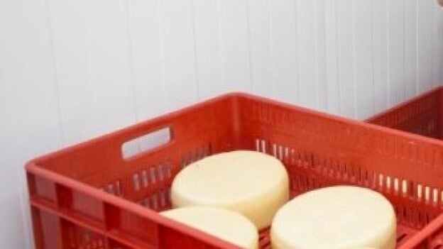 Gran Canaria acogerá en 2018 la asamblea de la Ruta Europea del Queso