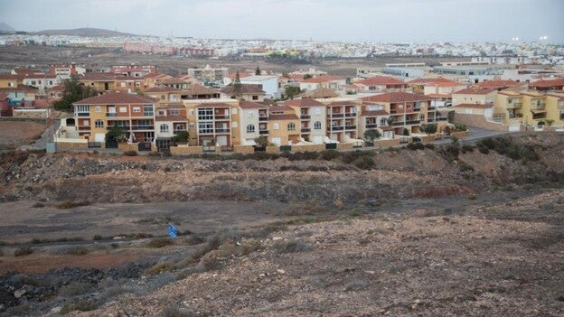 El mosquito del dengue llega a la isla