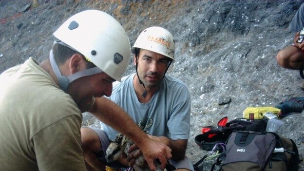 colgados para salvar guinchos