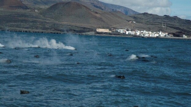 Referéndum y medias verdades
