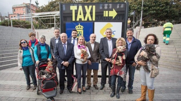 Viaja con tu mascota en Global