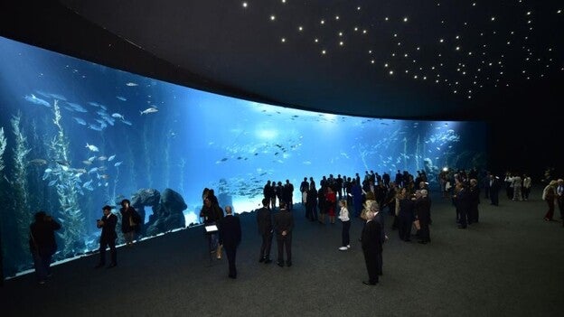 El Poema del Mar abre sus puertas el 8 de enero