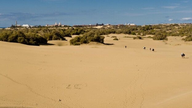 Medio Ambiente creará una cuadrilla permanente de espacios costeros