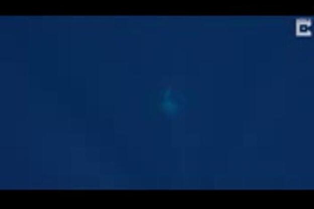 Una ballena protege a una bióloga marina de un tiburón