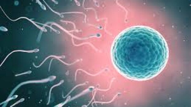 La fecundidad de las francesas, la más alta de Europa