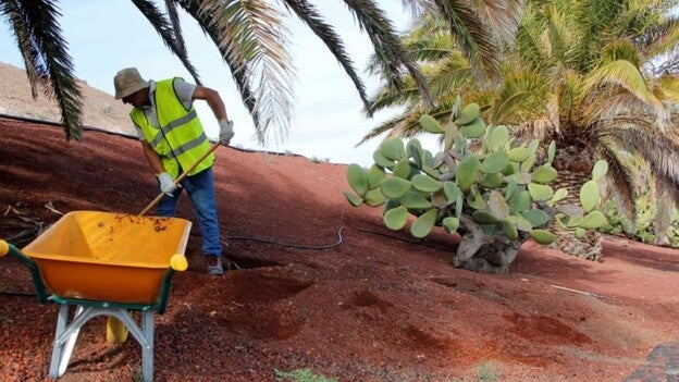 La Seguridad Social ganó 3.012 afiliados el pasado año