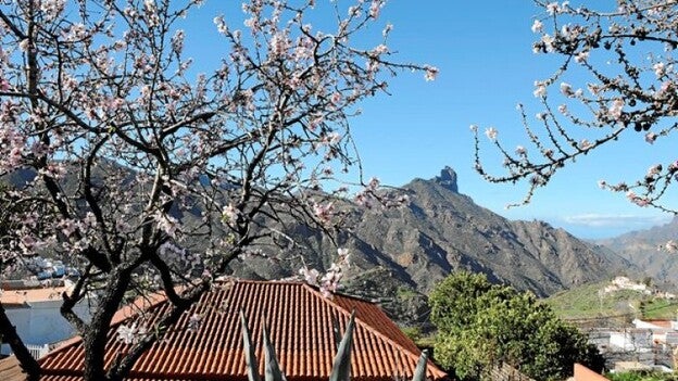 Ir a las Fiestas del Almendro de Tejeda será un 60% más barato