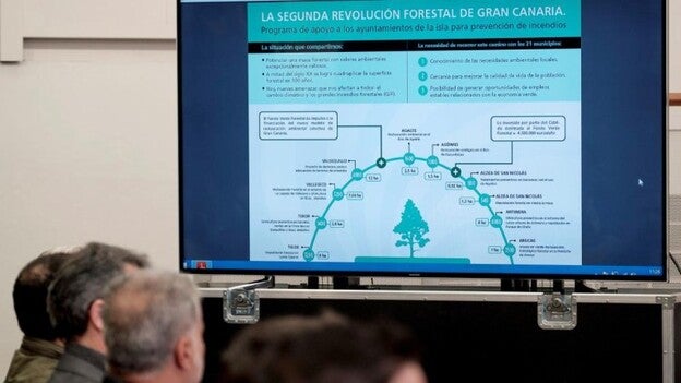Gran Canaria prevé incrementar en 154 hectáreas su superficie verde en 2018