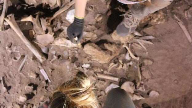 Los cabellos teñidos eran parte de ritos funerarios