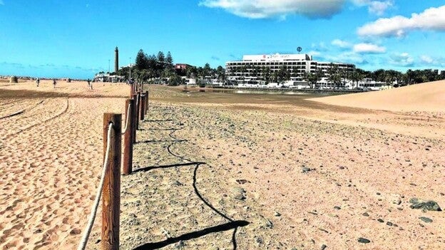 Pierde 20 camiones de arena al día