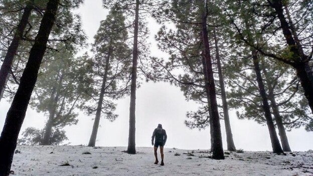 Ultimando detalles para la gran cita