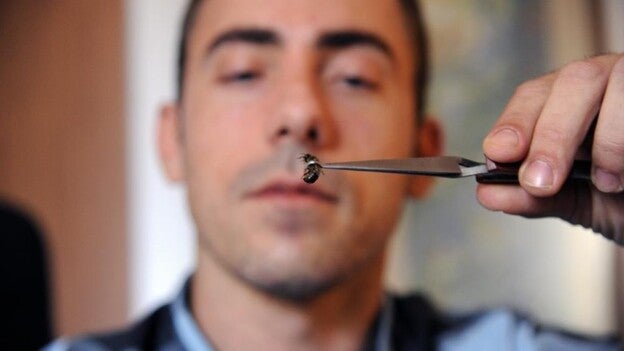 Apiterapia: una alternativa más dulce