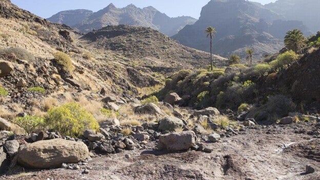 Ofrecen Güi-Güi al Cabildo por 2 euros el metro cuadrado